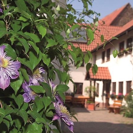Pension Gaestehaus Kachelofa Vaihingen an der Enz Exterior foto
